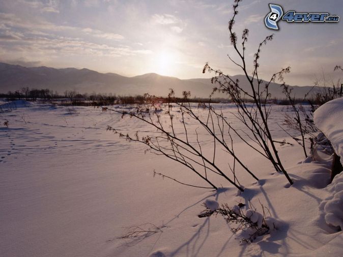 Schneewiese Sonnenaufgang-im-winter,-schneebedecktes-feld-125086