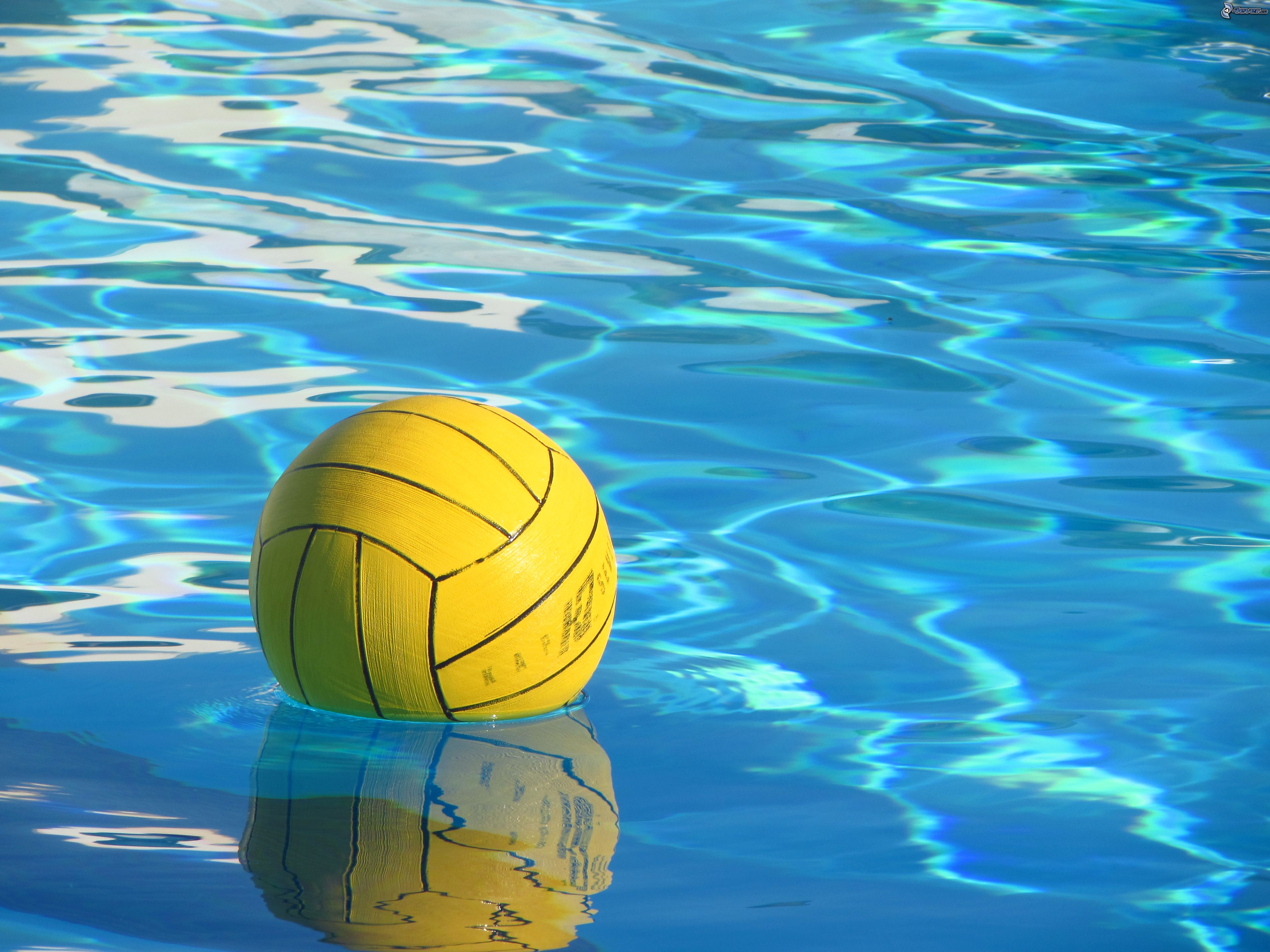 Wasser Polo Ball - Kostenloses Foto auf Pixabay - Pixabay